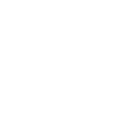 PNG icon